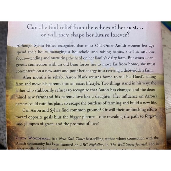 The Harvest of Grace: Book 3 in the Ada's House Amish Romance Series (an Ada's H - Picture 10 of 11